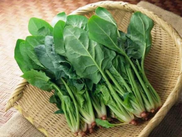 cải bó xôi, Cây giàu vitamin K