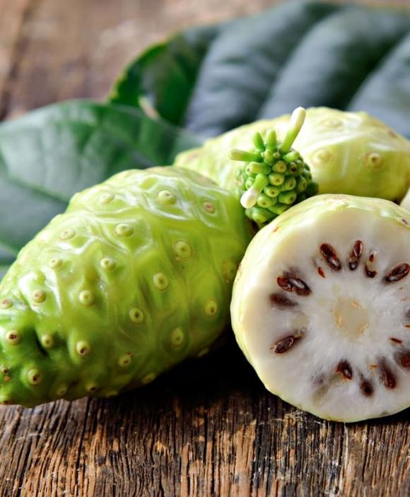 cây nhàu, lợi ích của quả nhàu