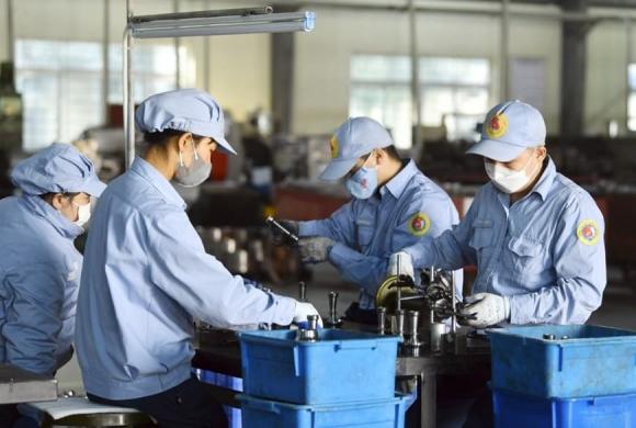 Người lao động, đăng ký thông tin về trình độ, kỹ năng và nghề nghiệp