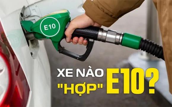 Xăng E10, Xăng sinh học, xe nào dùng được xăng E10