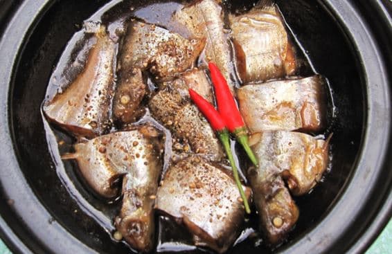 cá xác sọc, công dụng của cá xác sọc