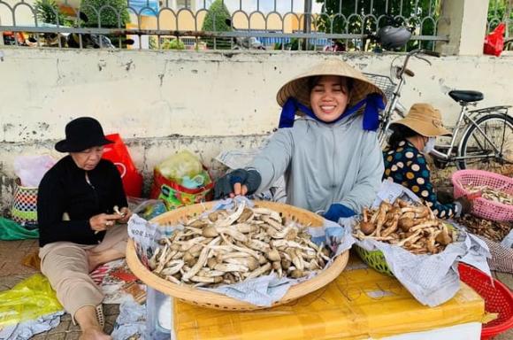 Nấm mối, công dụng của nấm mối