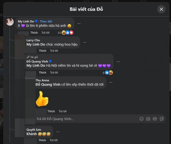 hoa hậu Đỗ Mỹ Linh, sao Việt