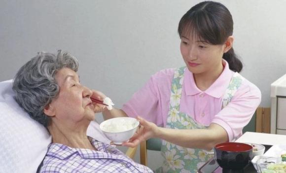 giúp việc, chăm sóc người già, giới trẻ