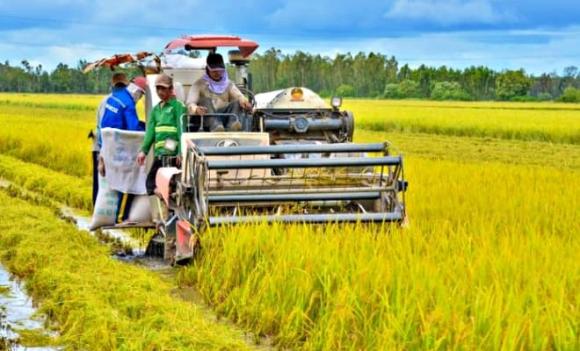 sổ đỏ, đất nông nghiệp, Giấy chứng nhận quyền sử dụng đất 