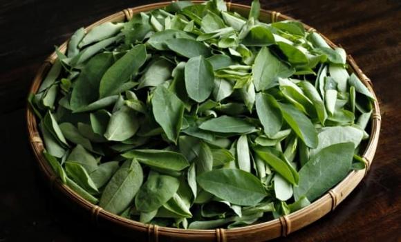 rau ngót, loại rau giàu sắt gấp 7 lần thịt bò, loại rau giàu canxi hơn cả sữa
