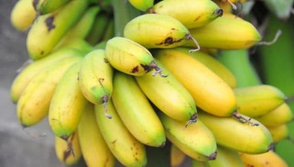Ngày Rằm, chọn chuối thắp hương, thắp hương