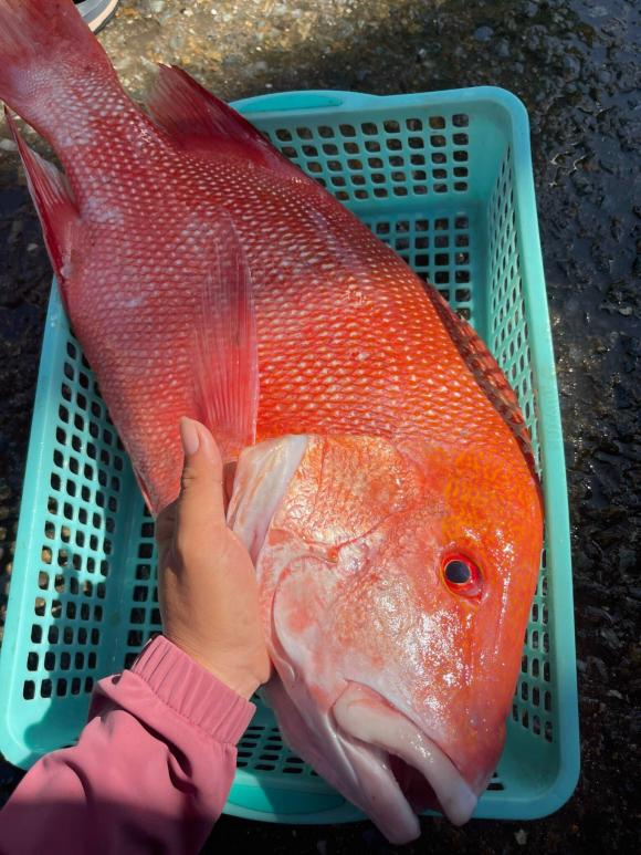 Bạch Mai, ăn cá, sức khỏe