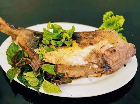 cá bò hòm, loại cá, cá ngon như thịt gà, kiến thức