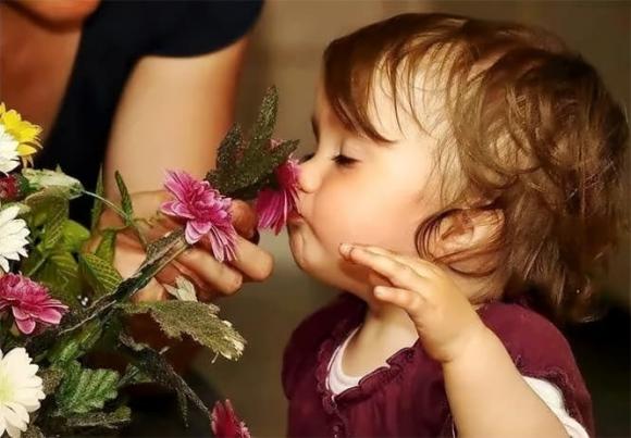 mùi hương, trí nhớ, bệnh Alzheimer