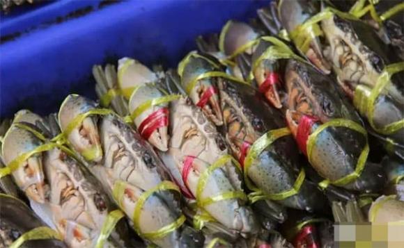 thực phẩm, khoai tây, gừng thối