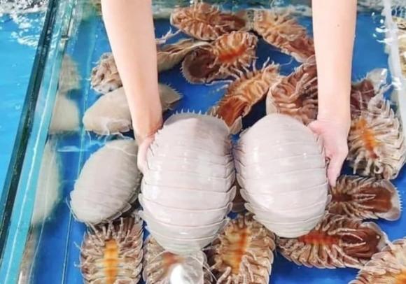 Bọ biển, cách chế biến bọ biển