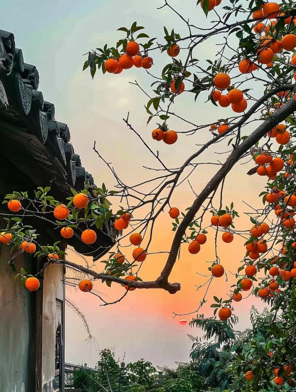 lập thu