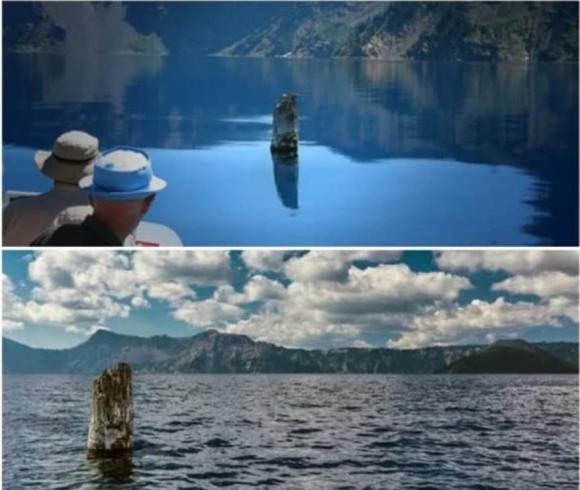 khúc gỗ tự nổi 0 gỗ quý, khúc gỗ, gỗ nổi thẳng đứng, kiến thức