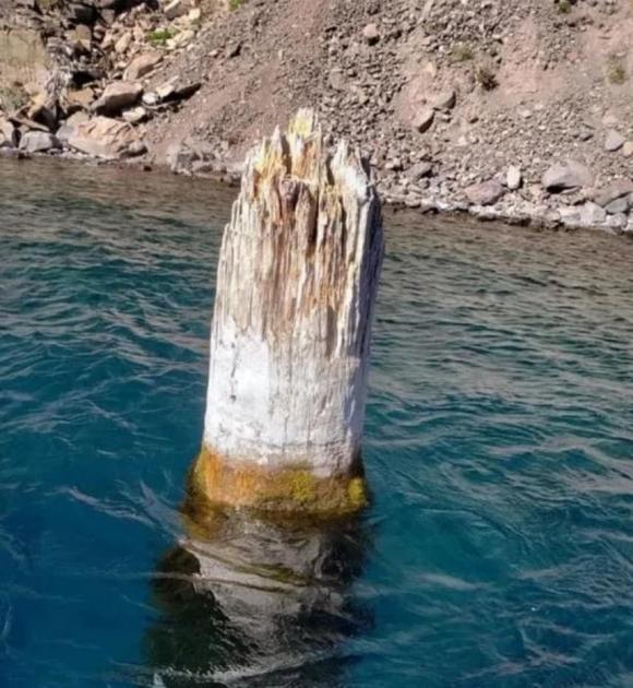 khúc gỗ tự nổi 1 gỗ quý, khúc gỗ, gỗ nổi thẳng đứng, kiến thức