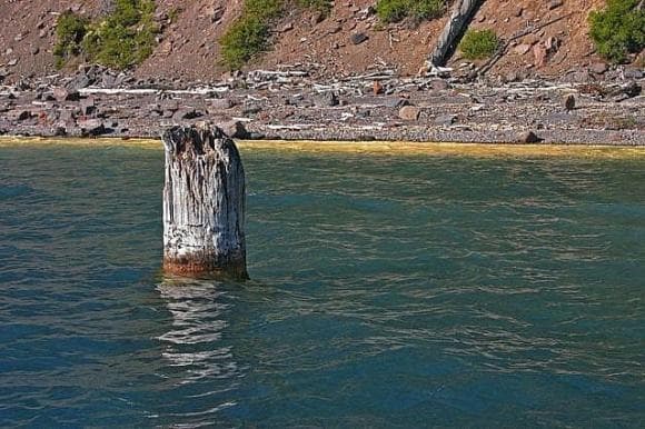 khúc gỗ tự nổi 2 gỗ quý, khúc gỗ, gỗ nổi thẳng đứng, kiến thức