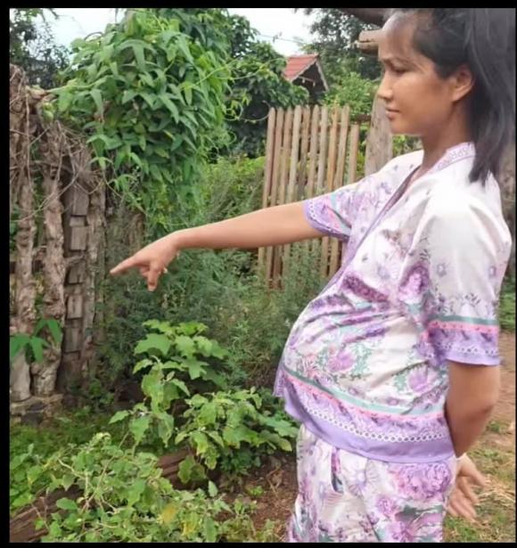 h'hen niê, sao việt 