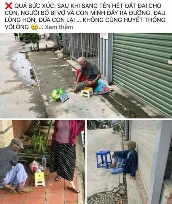 cụ ông, cụ ông Hải Phòng, bị vợ con đẩy ra đường