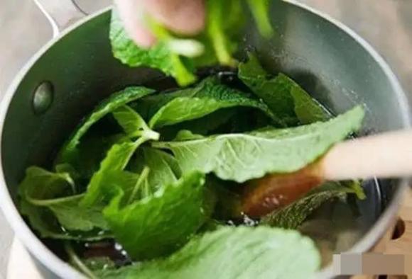 diệt chuột