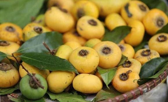 Thị chín thì mít sượng, thị chín không nên mua mít, cách chọn mít ngon