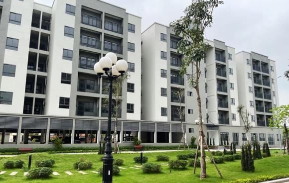 nhà ở xã hội, thu hồi nhà ở xã hội, kiến thức
