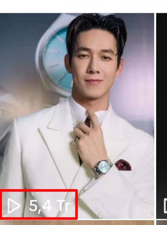 Doãn Quốc Đam, Mạnh Hưng, Mạnh Trường, Song Luân, sao Việt