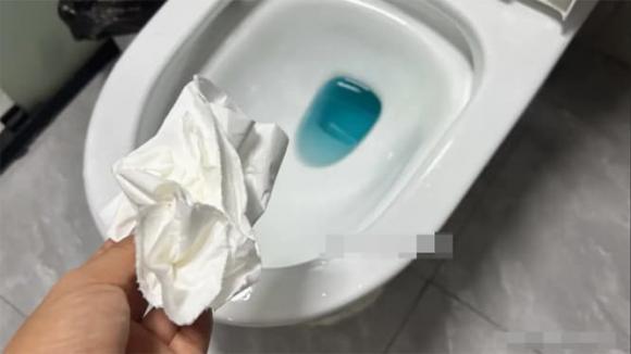 giấy vệ sinh, bồn cầu