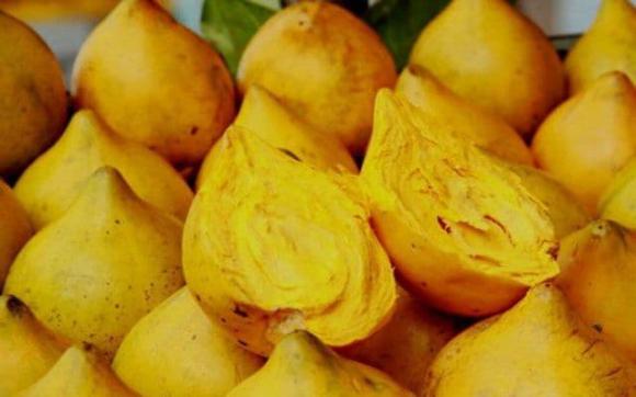 trứng gà, quả bơ, kiến thức