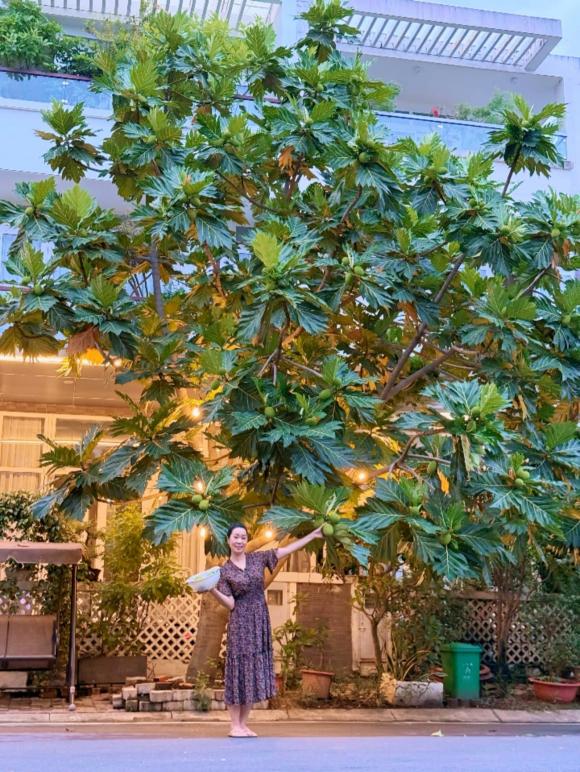 Sao Việt 13/8, tin sao việt mới nhất