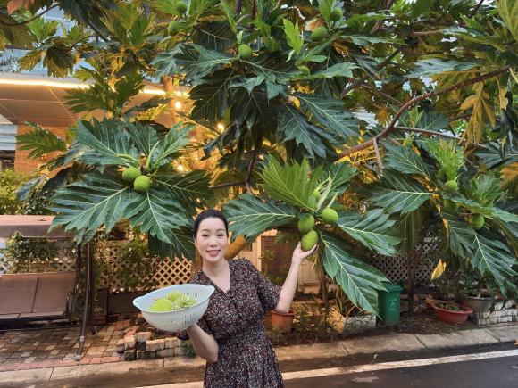 Sao Việt 13/8, tin sao việt mới nhất