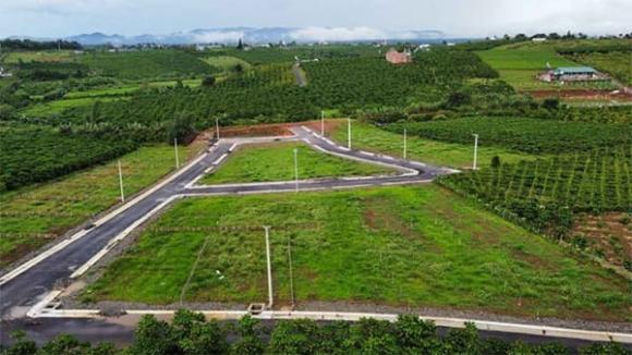 Luật Đất đai 2024, đất trồng cây lâu năm, đất có thời hạn sử dụng 50 năm