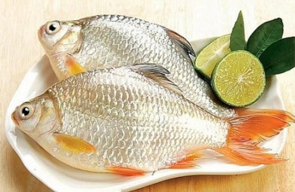 cá, bong bóng cá, cá lớn, cá nhỏ