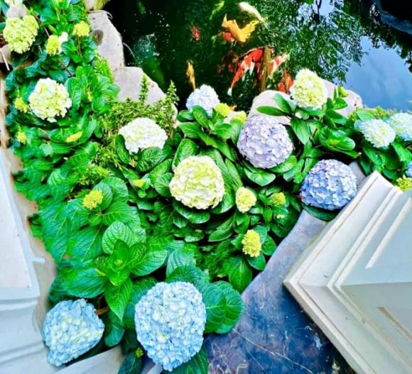 sao nữ giàu nhất miền Bắc, Cẩm tú cầu, Lã Thanh Huyền 