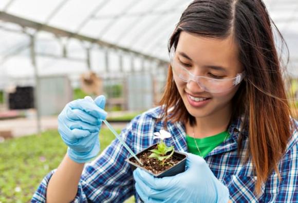 nhóm ngành STEM, Khoa học, Công nghệ, Kỹ thuật, Toán học, nghề lương cao
