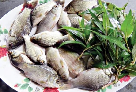 cá trê, Cá chẽm (vược), Cá diếc, 3 loại cá nước ngọt