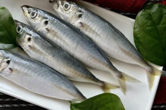 cá giàu omega 3 hơn cá hồi, kiến thức
