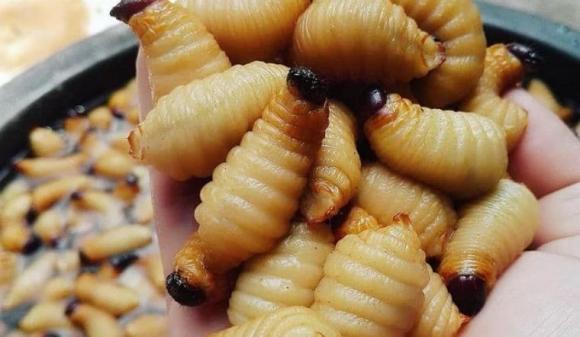 Món ăn ngọ nguậy, đuông dừa, sâu tre