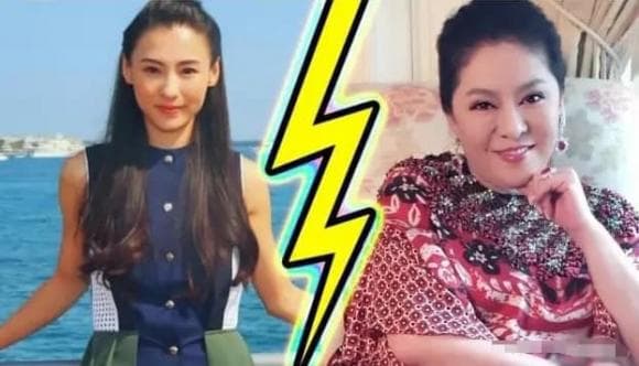 Trương Bá Chi, Trương Bá Chi nghiện nói dối, Trần Hiểu Đông, sao Hoa ngữ