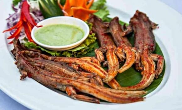 Thằn lằn núi Bà Đen, Tây Ninh 