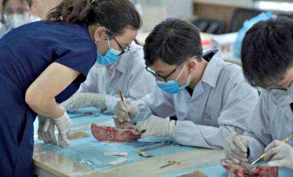Học phí, Trường Đại học Y Dược, Đại học Quốc gia Hà Nội