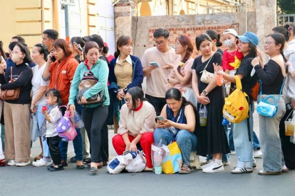 thỏ mọc gai, kỳ lạ, chuyện lạ
