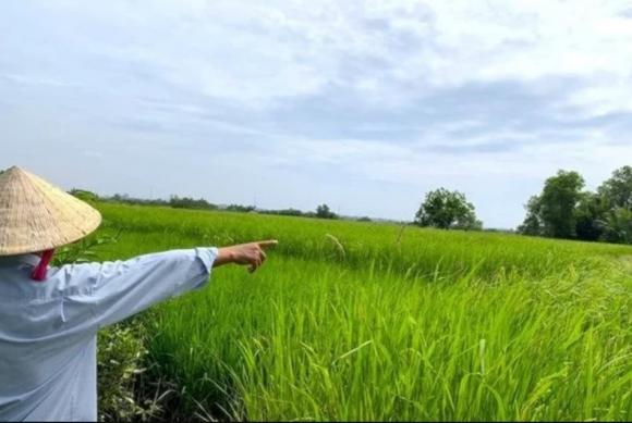 Luất đất đai,  chuyển đất nông nghiệp thành đất ở, mức phạt tự ý chuyển đất nông nghiệp thành đất ở