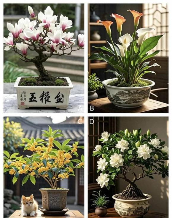 Trắc nghiệm tâm lý
