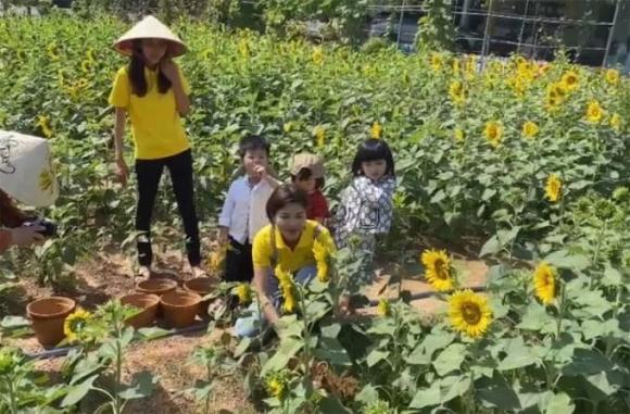 Hoa hậu Oanh Yến, sao Việt