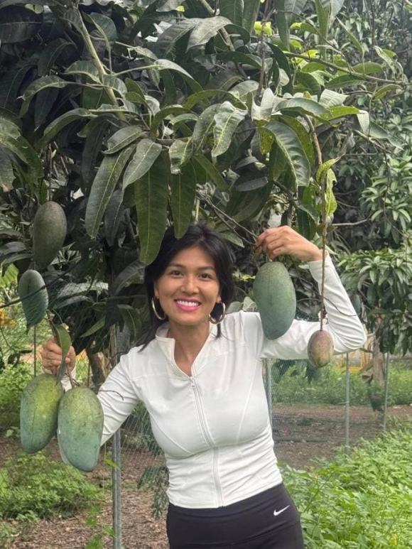 Hoa hậu Oanh Yến, sao Việt