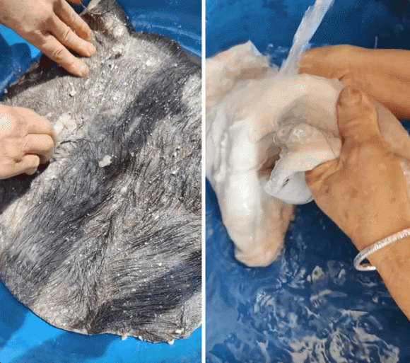 Món ăn kinh dị của việt nam, món da trâu thối