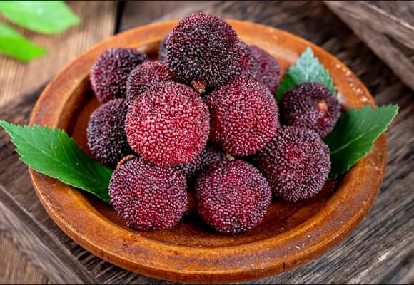 trái cây mùa hè,  trái cây dễ nhiễm ký sinh trùng nhất 