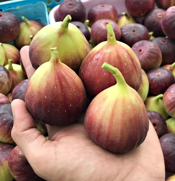 trái cây mùa hè,  trái cây dễ nhiễm ký sinh trùng nhất 