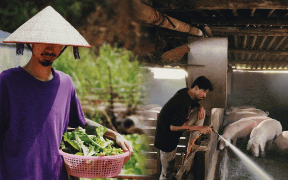 Đen Vâu, sao Việt 