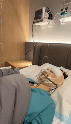 Sao Việt 18/8, tin sao việt mới nhất